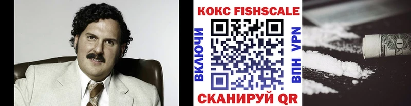 Кокаин FishScale  Купить где  Новоаннинский 