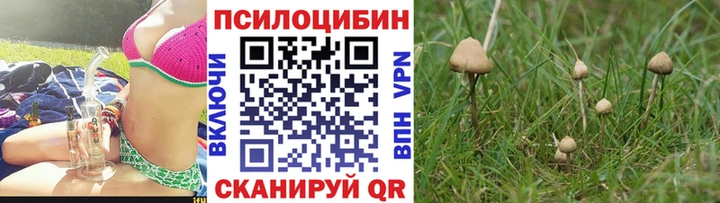 Галлюциногенные грибы MAGIC MUSHROOMS  Купить закладки  Новоаннинский 